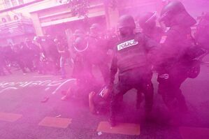 In einer rosafarbenen Rauchwolke entfernen Polizisten in Einsatzkleidung einen Demonstranten, der versucht, zum Veranstaltungsort des Apec-Gipfels zu marschieren., © Wason Wanichakorn/AP/dpa