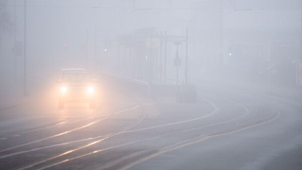 Autos fahren bei dichtem Nebel über eine Straße., © Julian Stratenschulte/dpa/Symbolbild