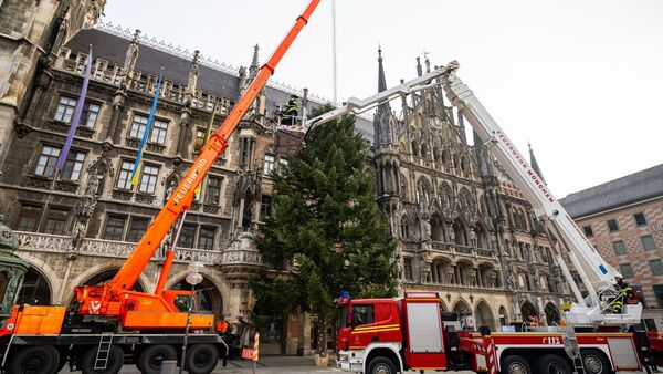 Feuerwehrleute stellen mit Hilfe eines Krans den Weihnachtsbaum auf dem Münchner Marienplatz auf., © Lennart Preiss/dpa
