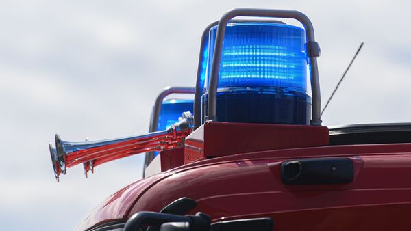 Blaulichter leuchten auf dem Dach eines Einsatzfahrzeugs der Feuerwehr., © Robert Michael/dpa-Zentralbild/ZB/Symbolbild