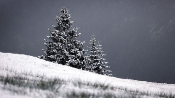 Mit Neuschnee bedeckt ist die Landschaft um den Riedbergpass., © Karl-Josef Hildenbrand/dpa