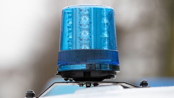 Das Blaulicht auf dem Dach eines Einsatzwagens der Polizei., © Friso Gentsch/dpa/Symbolbild